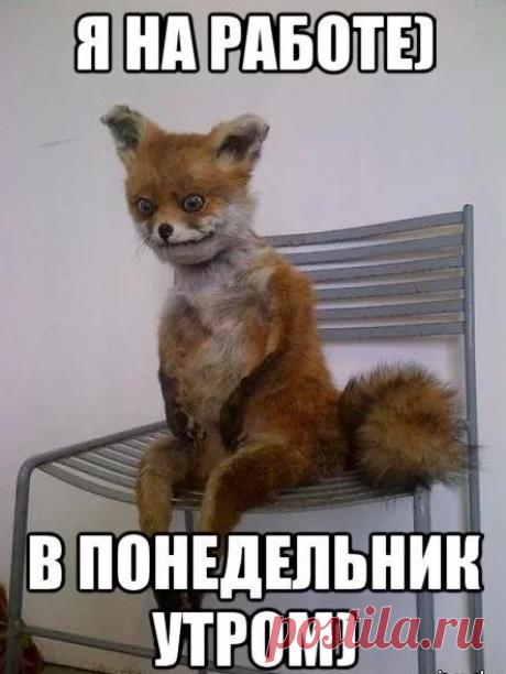 Завтра на работу ( | Пикабу