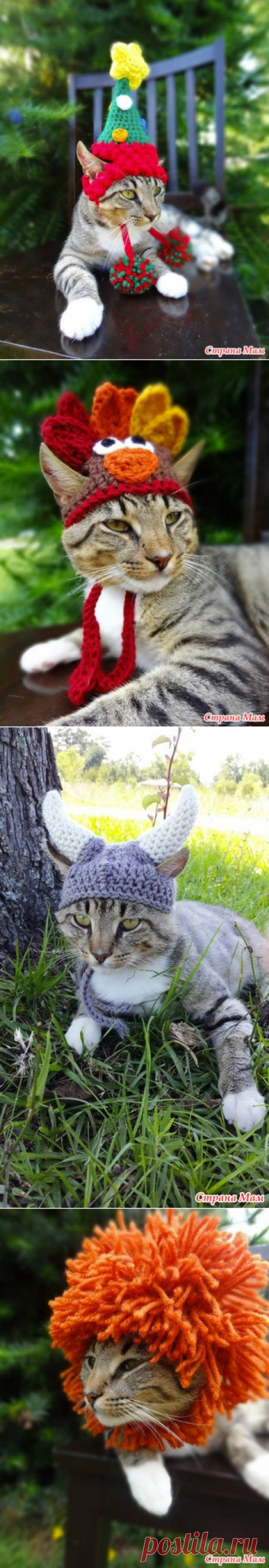 . Идеи для ваших любимцев - Все в ажуре... (вязание крючком) - Страна Мам