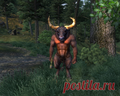Минотавр (Minotaur), оживший персонаж древнегреческой мифологии. Но в Обливионе он не в лабиринте заперт, а шарашится по всему Сиродилу. Может встретиться не только на открытых пространствах, но и в подземельях. Чаще всего ходит с кувалдой.
Minotaur, a revived character from ancient Greek mythology. But in Oblivion he is not locked in a labyrinth, but roams around all over Cyrodiil. It can be found not only in open spaces, but also in dungeons. Most often he carries a sledgehammer.
