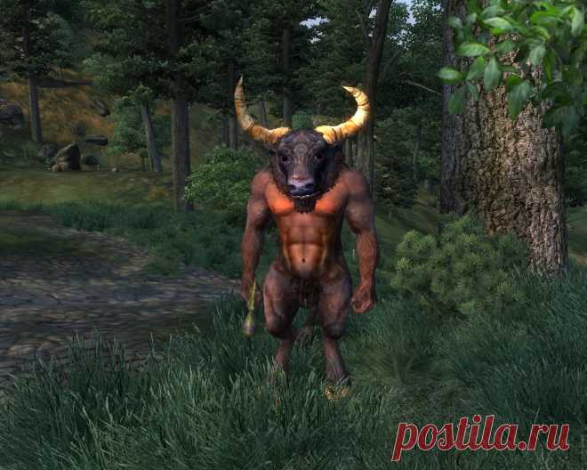 Минотавр (Minotaur), оживший персонаж древнегреческой мифологии. Но в Обливионе он не в лабиринте заперт, а шарашится по всему Сиродилу. Может встретиться не только на открытых пространствах, но и в подземельях. Чаще всего ходит с кувалдой.
Minotaur, a revived character from ancient Greek mythology. But in Oblivion he is not locked in a labyrinth, but roams around all over Cyrodiil. It can be found not only in open spaces, but also in dungeons. Most often he carries a sledgehammer.