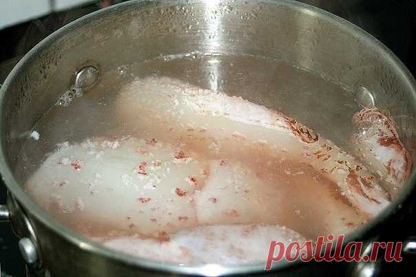 Как приготовить нежный кальмар в сметанном соусе - рецепт, ингридиенты и фотографии