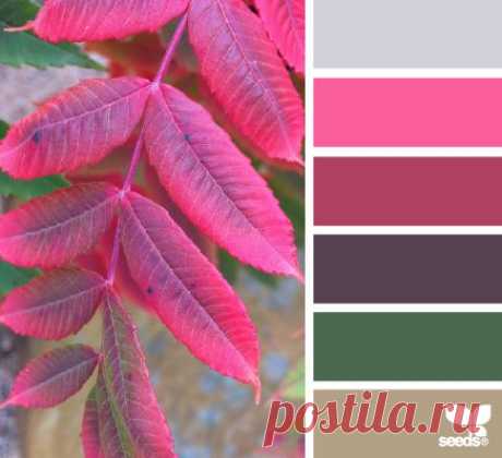 Design Seeds® | find your palette