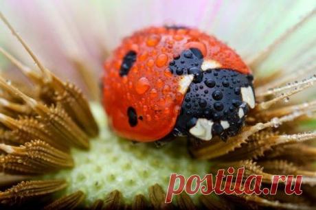 С первыми лучами тебе пожелаю 
Только удачного, доброго дня! 
И без улыбки я не представлю 
День твой, тебя и себя!