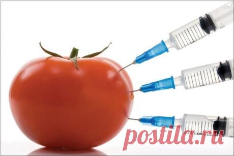 Употреблять ли в пищу эти продукты - решать вам!