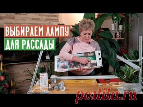 СЕКРЕТЫ ПОДСВЕТКИ РАССАДЫ  Как правильно выбрать лампу? / Садовый гид