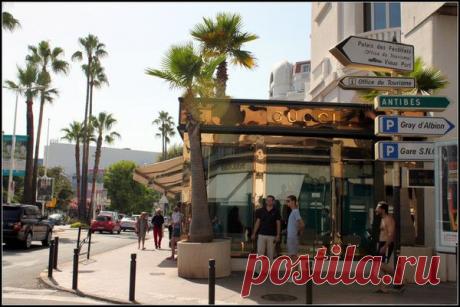 Лазурный берег, Канны. | Фотографии Светлана Верхошинская | 8083 фото