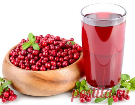 15 самых полезных продуктов на планете
