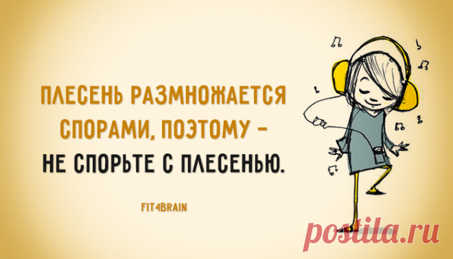 Совет дня - Фитнес для мозга