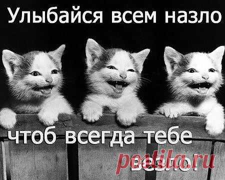 Без слов.