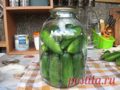 Как сохранить свежие огурцы до зимы
