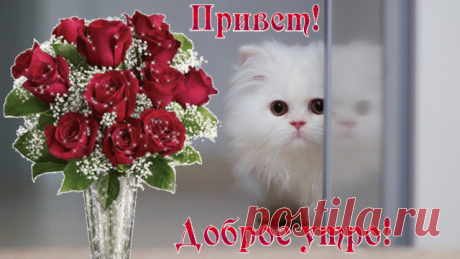 (10) Одноклассники
