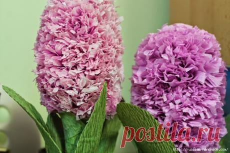 Гиацинты из гофрированной бумаги. Мастер-класс