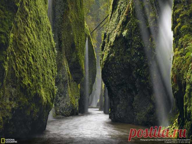 Лучшие фотографии National Geographic за июнь