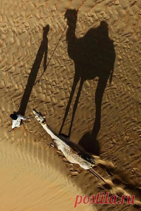 Мубариз Али - Google+