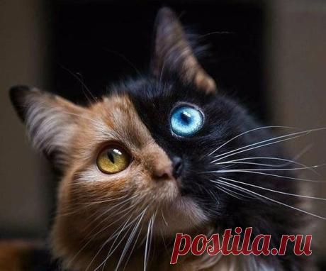 Природа постаралась