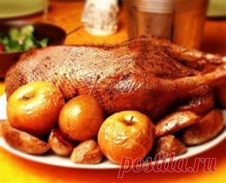 Вкусная подборка рецептов!
Праздничный гусь!
Горячие блюда обязательно должны присутствовать на новогоднем столе, ведь без них, как правило, вообще не обходится ни один праздник. 
Новогоднее горячее блюдо отличается от обычных праздничных блюд особенными ингредиентами и красивой подачей. Особенно эффектно выглядит запечённая целиком тушка гуся, нафаршированная различными начинками и специями.
Подать в новогодний вечер такое блюдо дело чести хорошей хозяйки. Но, вот беда, гуся купили, а что с н