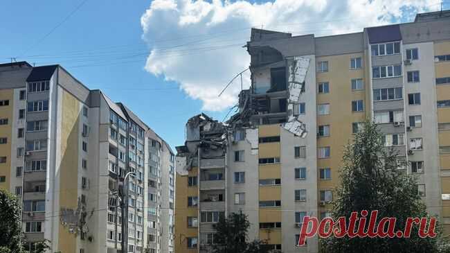 Из дома в Саратове, где взорвался газ, спасли пять кошек
