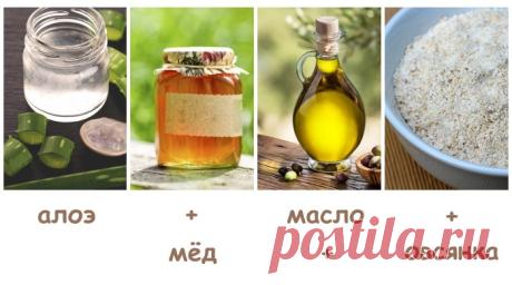 Как использовать алоэ вера: рецепты красоты в домашних условиях