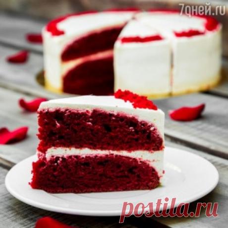 Творожный торфяной пирог с черносливом - МирТесен
