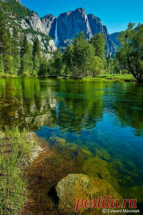 HAVE A NICE DAY
