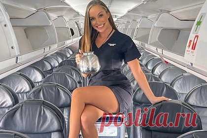 Фото стюардессы в мини-юбке на тележке для еды восхитило подписчиков. Стюардесса иностранной авиакомпании сделала необычное фото в салоне самолета и восхитила подписчиков. На снимке бортпроводница позирует на тележке для еды в проходе между рядами кресел, сложив ногу на ногу, и держит в руках прозрачный кофейник. Сотрудница авиакомпании одета в фирменную униформу.