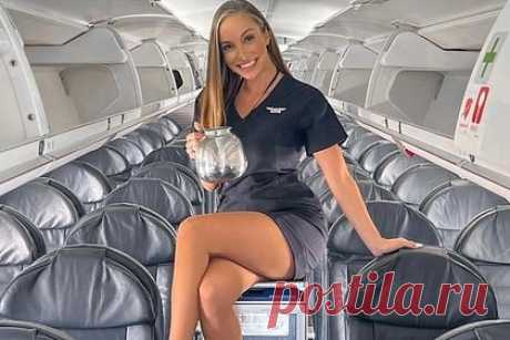Фото стюардессы в мини-юбке на тележке для еды восхитило подписчиков. Стюардесса иностранной авиакомпании сделала необычное фото в салоне самолета и восхитила подписчиков. На снимке бортпроводница позирует на тележке для еды в проходе между рядами кресел, сложив ногу на ногу, и держит в руках прозрачный кофейник. Сотрудница авиакомпании одета в фирменную униформу.