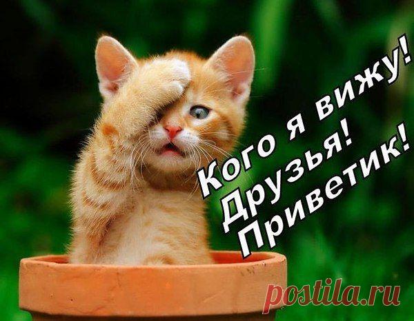 ДРУЗЬЯ! ДОБРОЕ УТРО!

Это утро пусть будет только прекрасным:
Настроение, дождь и случайный прохожий...
Пониманье, что прожиты дни не напрасно,
Даже если чего-то мы в жизни не можем.
Ты проснись и с улыбкой иди дальше,
Покоряя себя и свои страхи,
Без тщеславия, зла, суеты и фальши,
Не обидев старца и той птахи.
Полной грудью своей вдохни воздух
И пойми, как ты очень сейчас счастлив,
Слушай сердце и мыслей своих отзвук,
Будь собой. Несмотря на чины и масти.