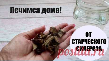 6 Народных Средств для Поддержки Памяти и Ясности Ума Старческий Склероз (или возрастная деменция)🌿 Народные Рецепты для Поддержки Мозга:&nbsp;1. Гингко Билоба (Улучшение Кровоснабжения):&nbsp;Рецепт: 1-2 чайные ложки сухих листьев гинкго билоба залить 1 стаканом кипятка, настоять 10-15 минут, процедить.&nbsp;Применение: Пить 2-3 раза в...