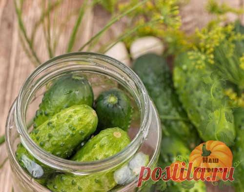 С наступлением сезона я стараюсь испробовать новые рецепты на зиму. Так в моей копилке появились огурцы по-монастырски. Они хрустящие и готовятся без стерилизации.