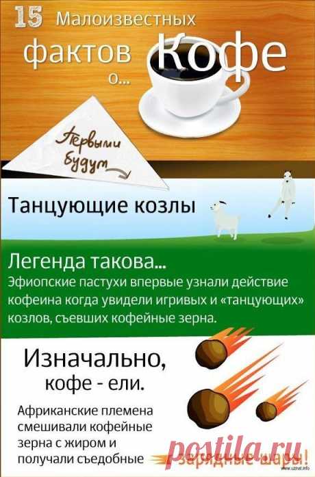Интересные факты о кофе, которых Вы не знали