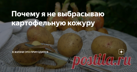 Почему я не выбрасываю картофельную кожуру Чаще всего картофельная кожура идет в помойное ведро, иногда на компост. Между тем, картофельные очистки могут иметь несколько довольно неожиданных применений.
5 способов использования картофельной кожуры
1. Здоровые чипсы
Картофельные кожурки сбрызнуть маслом, затем разложить на противне, посыпать солью, любимыми специями и запекать 20 минут при температуре около 200 градусов.