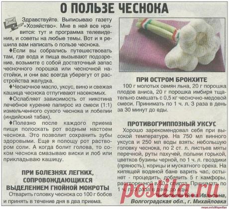 О пользе чеснока