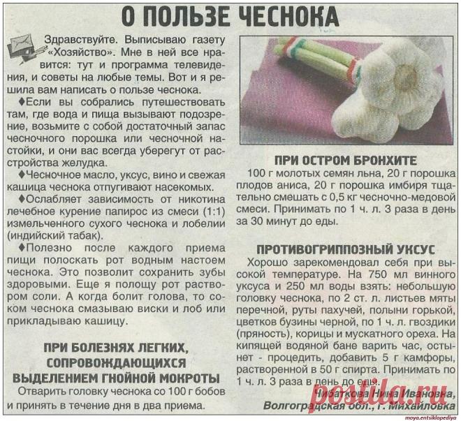 О пользе чеснока
