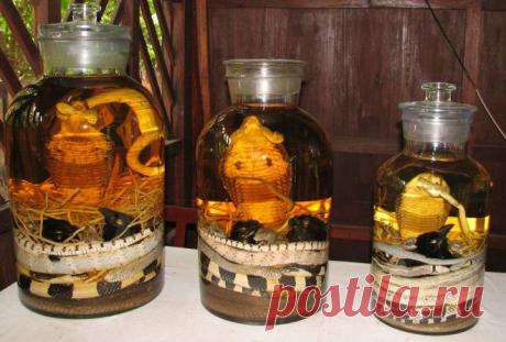 10 самых экзотических алкогольных напитков