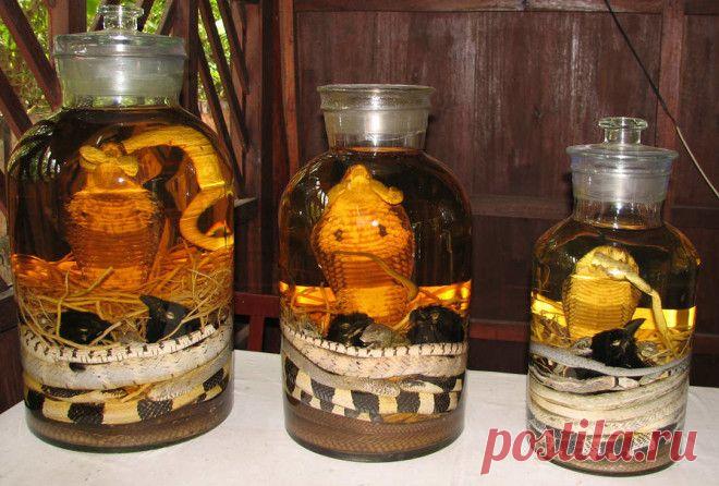 10 самых экзотических алкогольных напитков