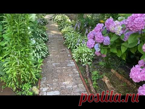 Мой любимый сад приносит мне хороший доход