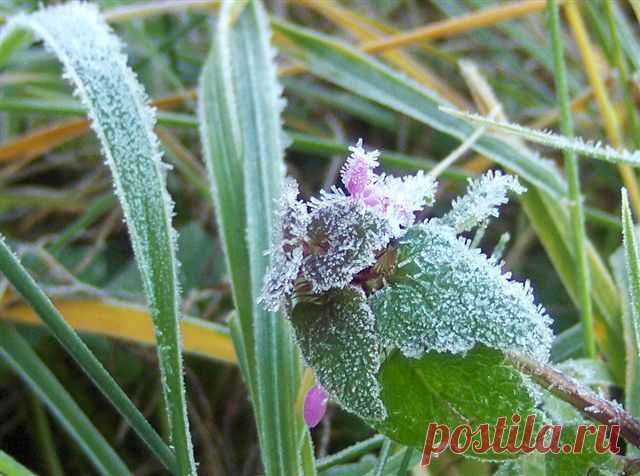 * * * * * * * * * * *