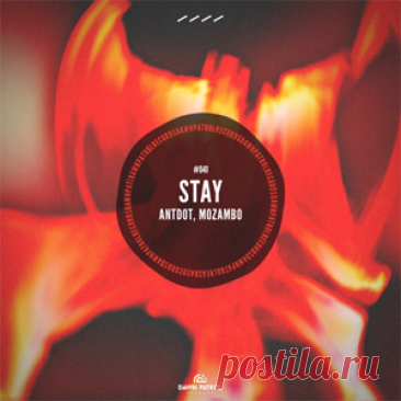 Antdot, Mozambo - Stay | 4DJsonline.com