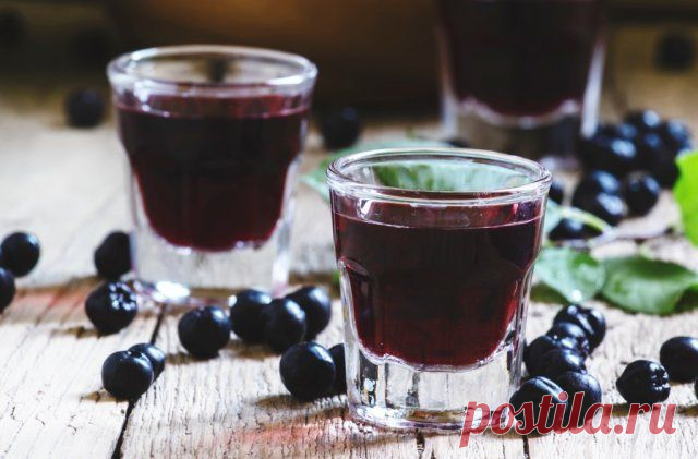 Домашние настойки на спирту – лучшие рецепты | Статьи (Огород.ru)