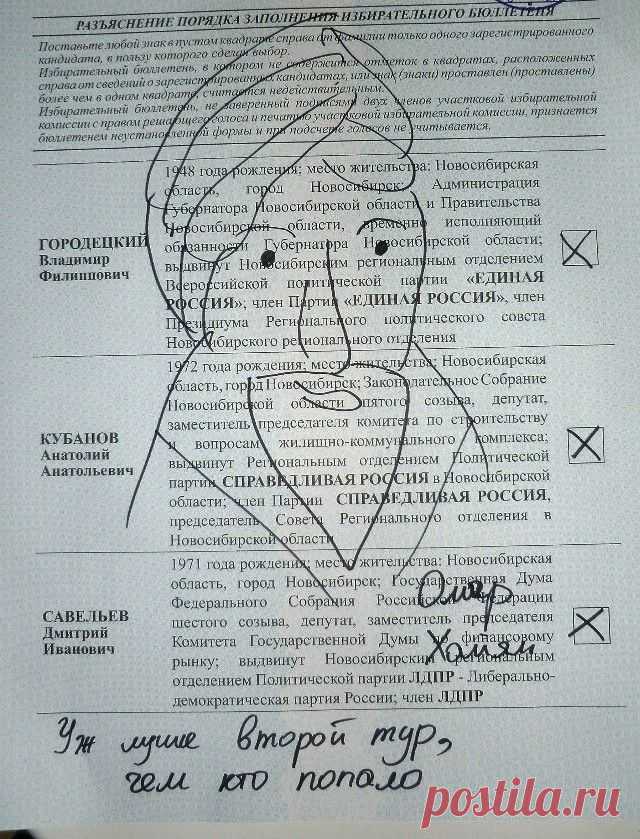 Я вас не выбираю: крик души в испорченных бюллетенях