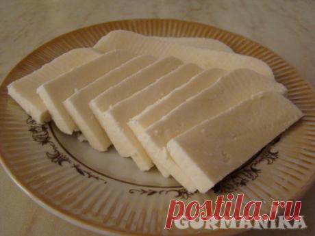 Домашний, солёный сыр - рецепт приготовления с фото