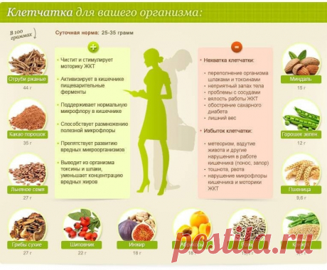 КЛЕТЧАТКА