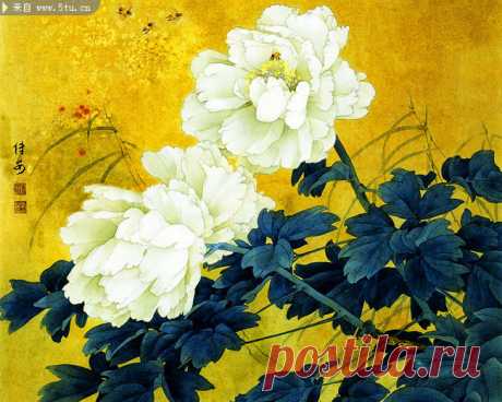牡丹花工笔画高清_牡丹花工笔画高清画法