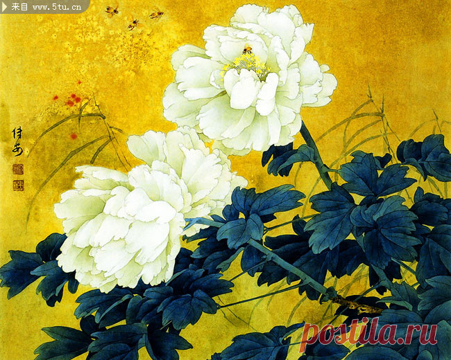 牡丹花工笔画高清_牡丹花工笔画高清画法
