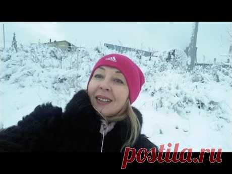 Влог/VLOG Окрасила ВОЛОСЫ 10 красками/Тестирую Амвей/Бюджетные покупки - YouTube