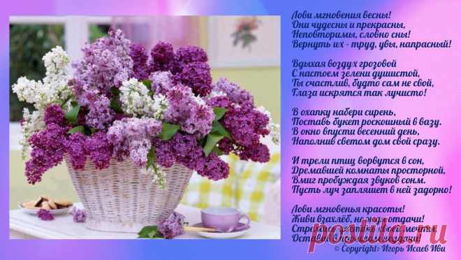 Открытка "Лови мгновения весны!"