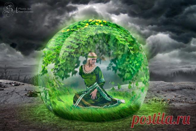 купол само-сохранения...