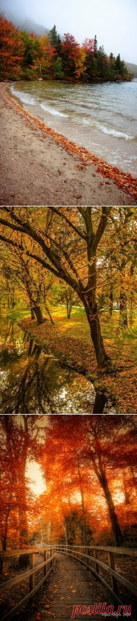 (1) Pinterest • Всемирный каталог идей