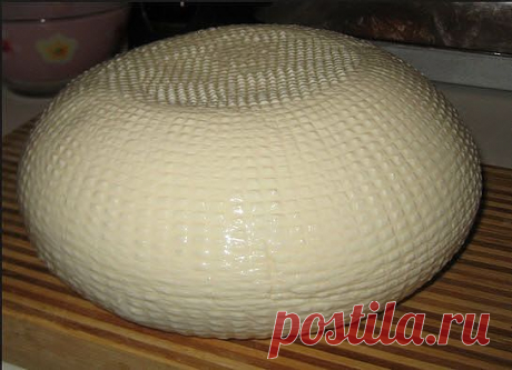 сыры