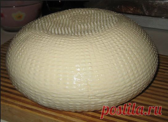 сыры